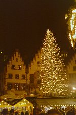 Weihnachtsbaum