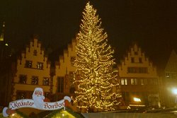 Weihnachtsbaum